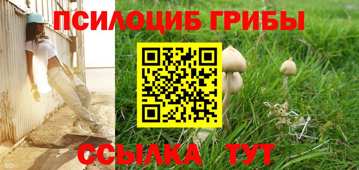 Галлюциногенные грибы Magic Shrooms Касимов
